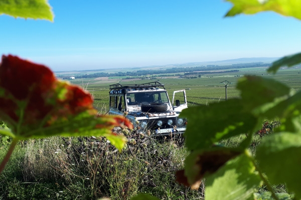 Survol du vignoble balade et dégustations / ½ journée. - Exploregion