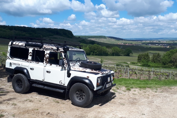 Survol du vignoble balade et dégustations / ½ journée. - Exploregion