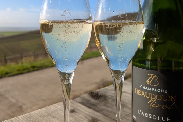 Dégustation 3 cuvées dans le vignoble - Nogent l'Abbesse - Exploregion