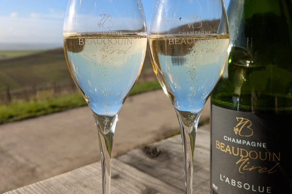 Dégustation 3 cuvées dans le vignoble - Nogent l'Abbesse - Exploregion Dégustation 3 cuvées dans le vignoble - Nogent l'Abbesse - Exploregion