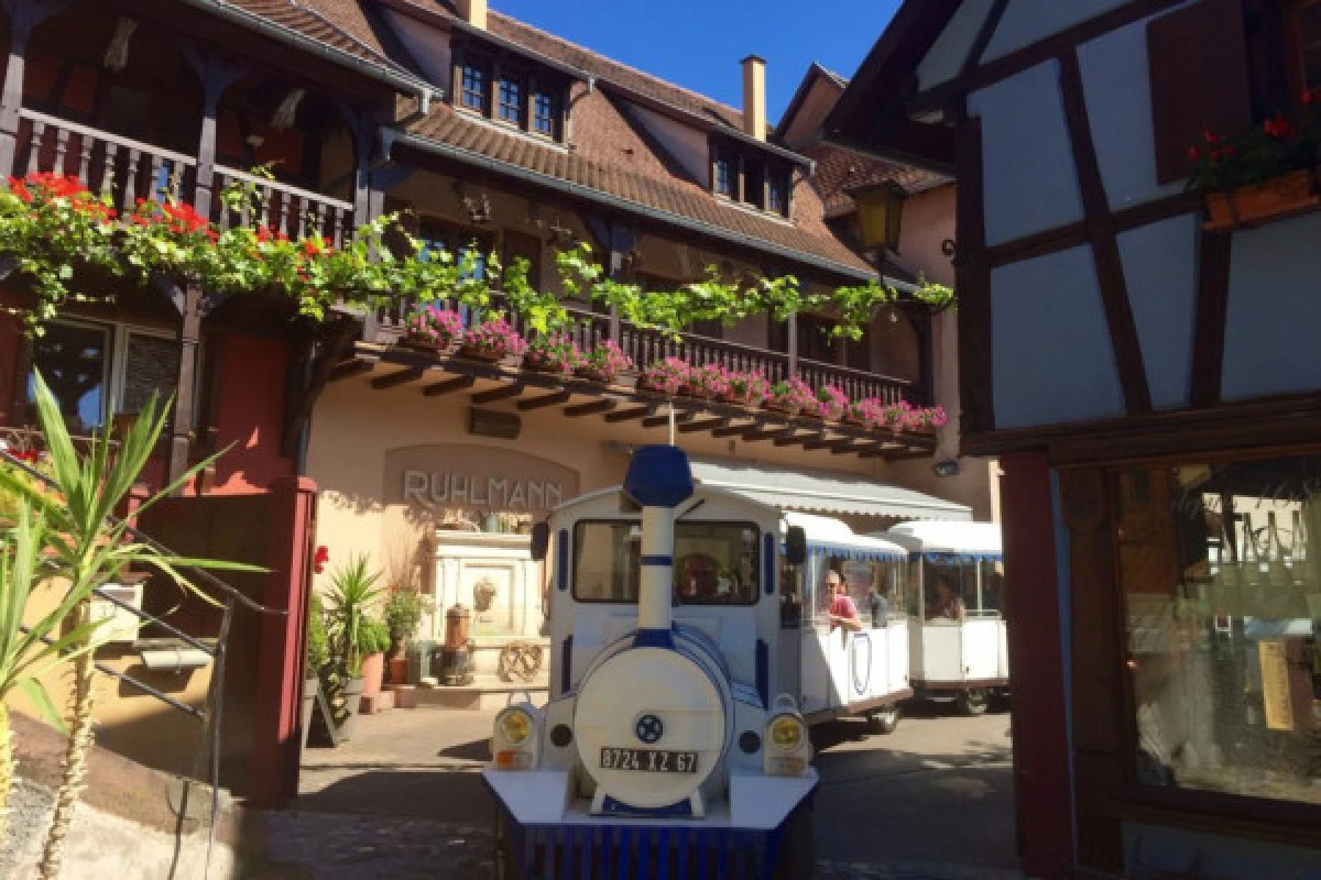 Le Petit Train du Vigneron - Exploregion