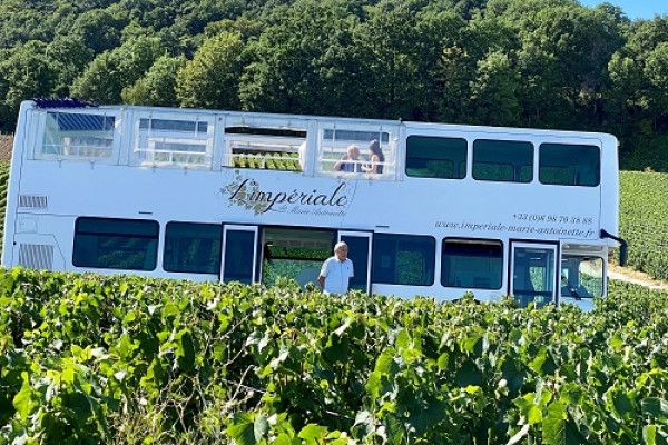 L'incontournable, Entre Vignes et Maisons de Champagne - Exploregion