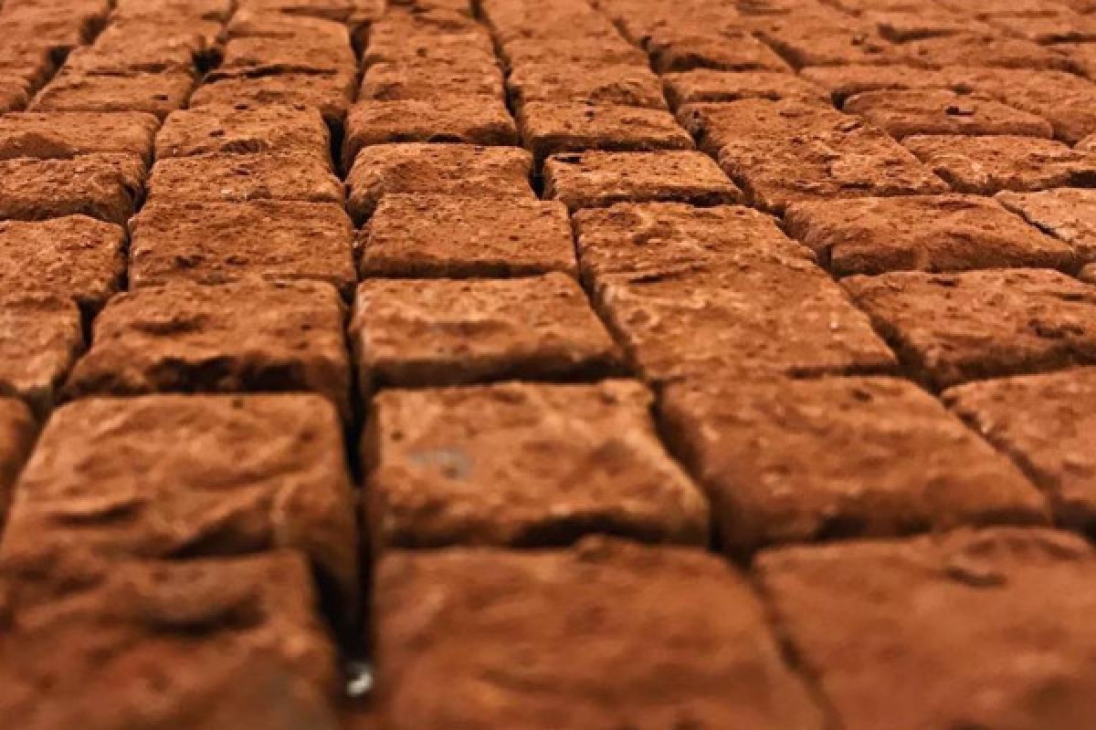 Tour Gastronomique Bordeaux - Exploregion