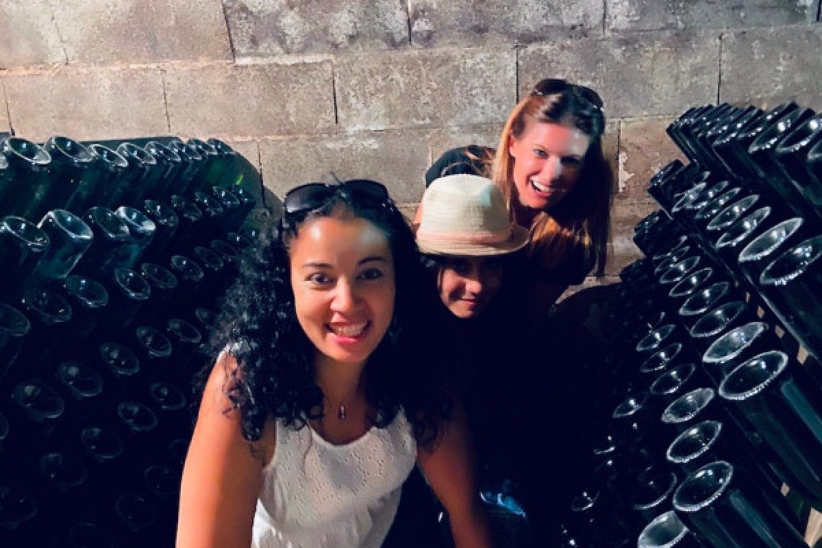 Vendangeur d'un jour à Rilly la Montagne - Exploregion