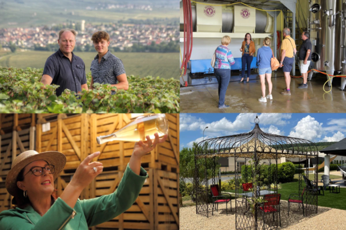 VIP - Dégustations et Visite de cave - Exploregion
