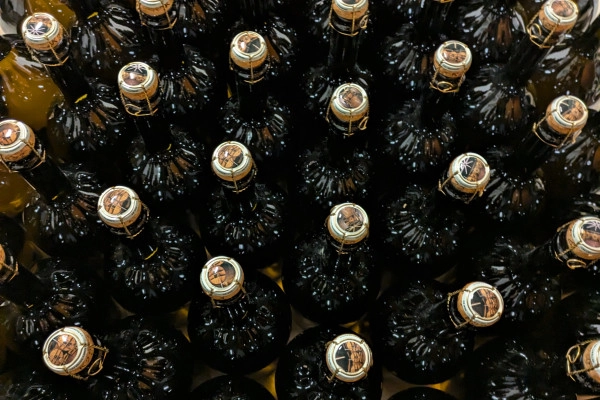 Visite du domaine - cave & cuveries - Nogent l'Abbesse - Exploregion