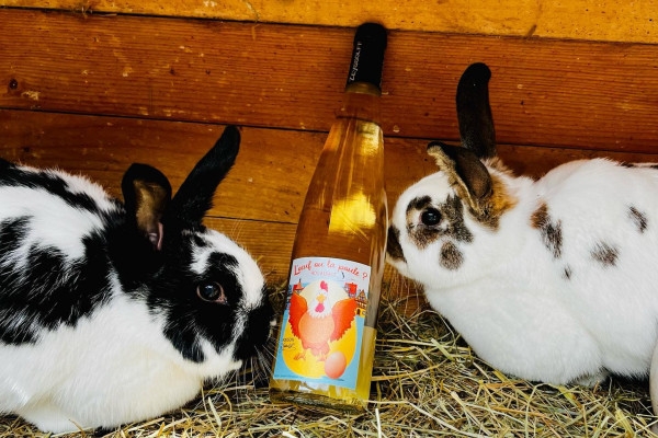 Visite de cave - avec ou sans brunch de Pâques - Exploregion