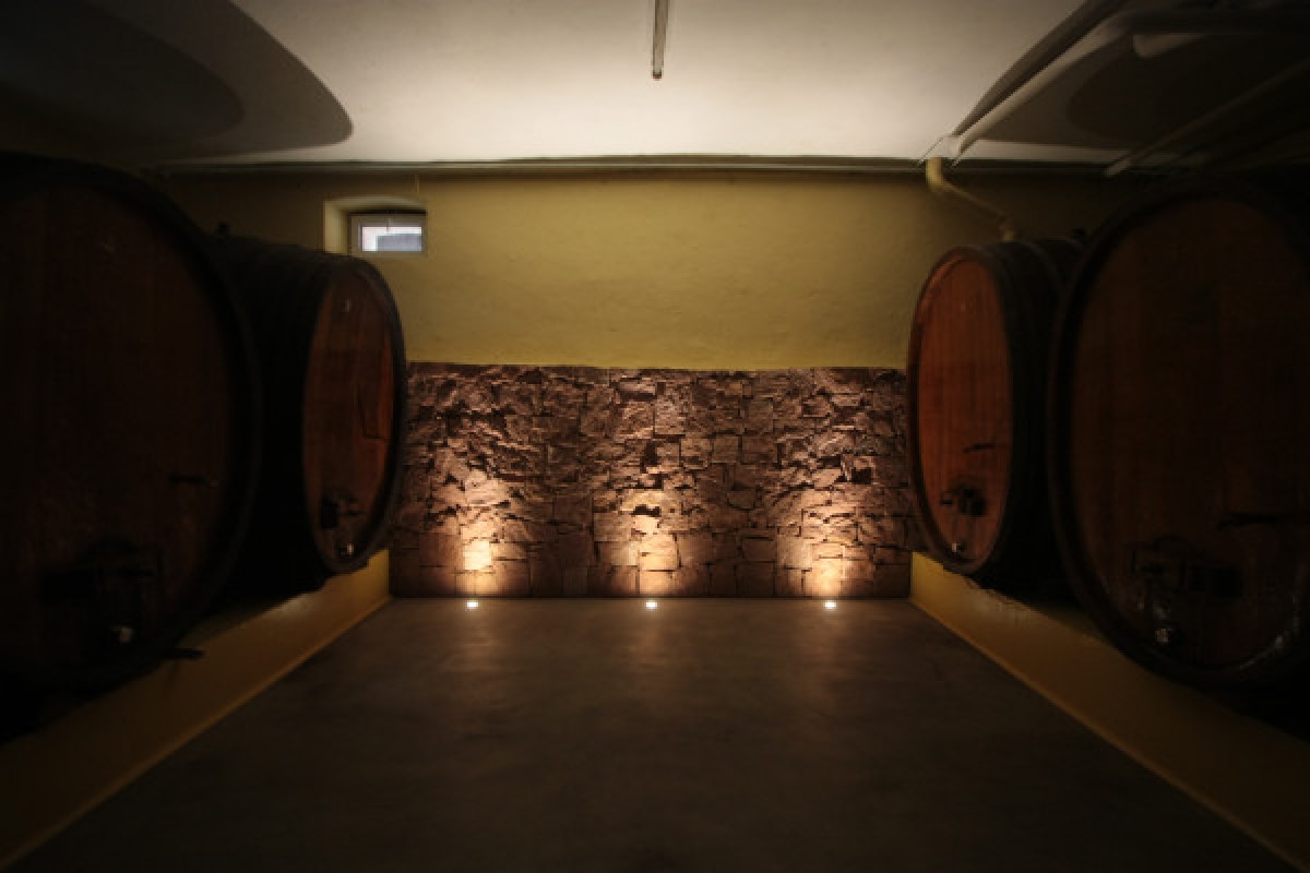 Visite de cave & dégustation - Formule Pétillante - Exploregion