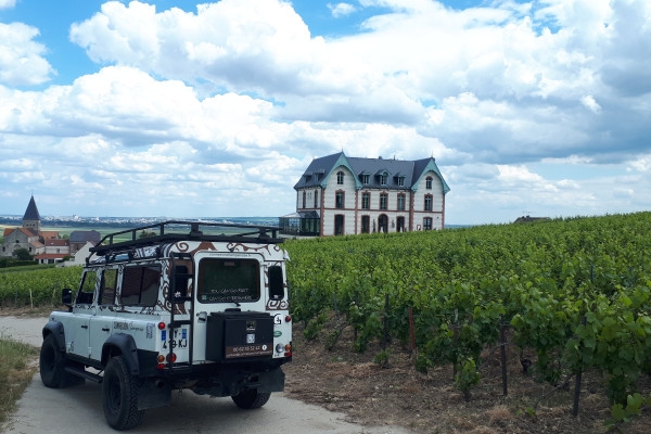 Visite de cave et balade dégustation dans le vignoble - Exploregion