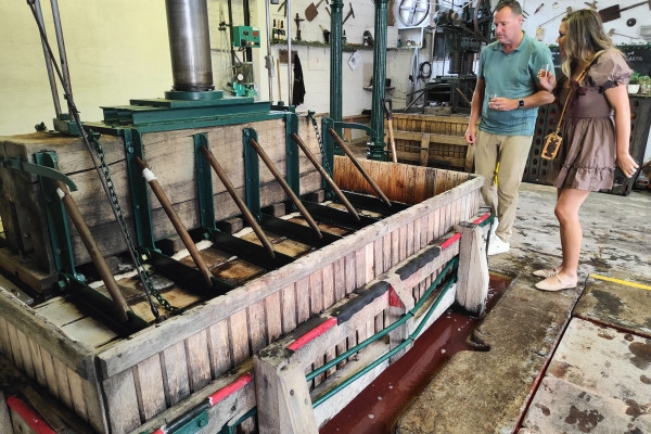 Visite de cave et balade dégustation dans le vignoble - Exploregion