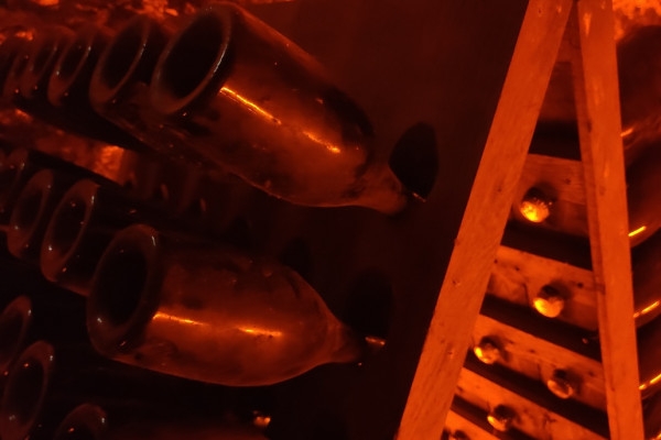 Visite de cave et balade dégustation dans le vignoble - Exploregion