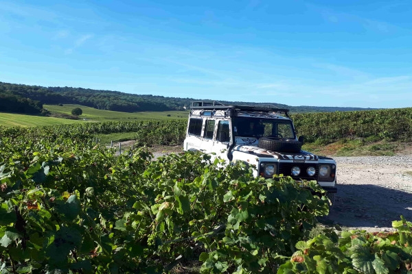 Visite de cave et balade dégustation dans le vignoble - Exploregion