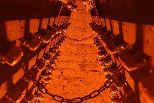 Visite de cave et balade dégustation Millésimé, vignoble - Exploregion