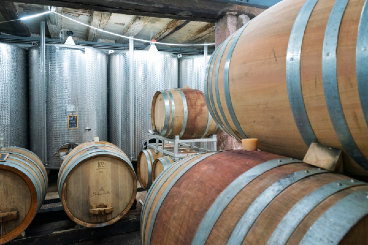 Visite de cave et découverte des vins d'Alsace - Exploregion