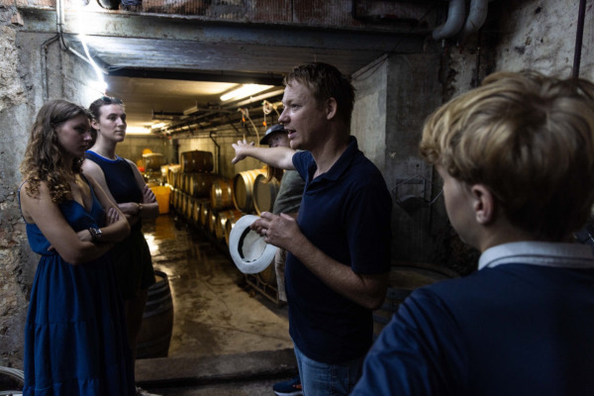 Visite de cave et découverte des vins d'Alsace - Exploregion