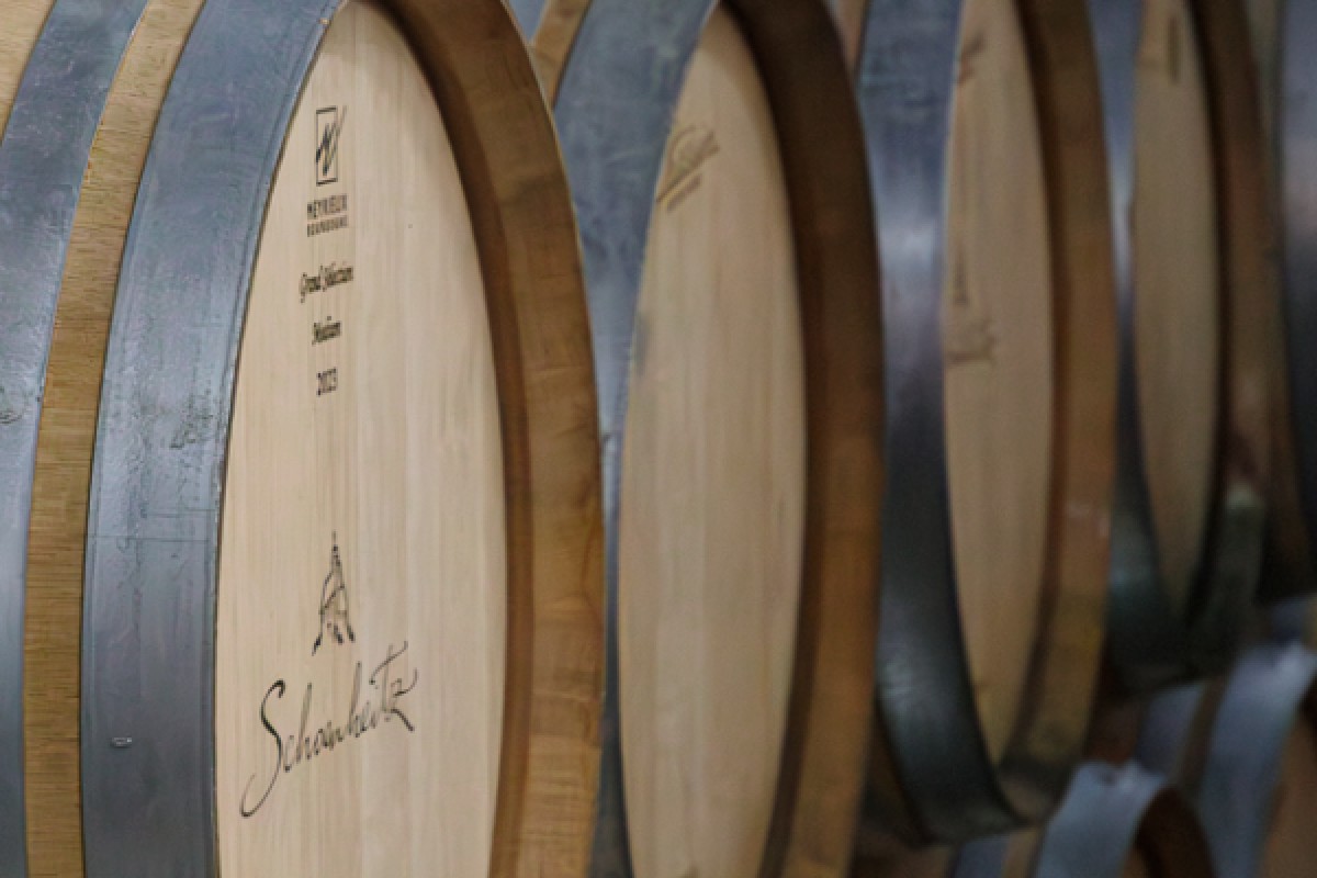 Visite de cave et découverte des vins d'Alsace - Exploregion