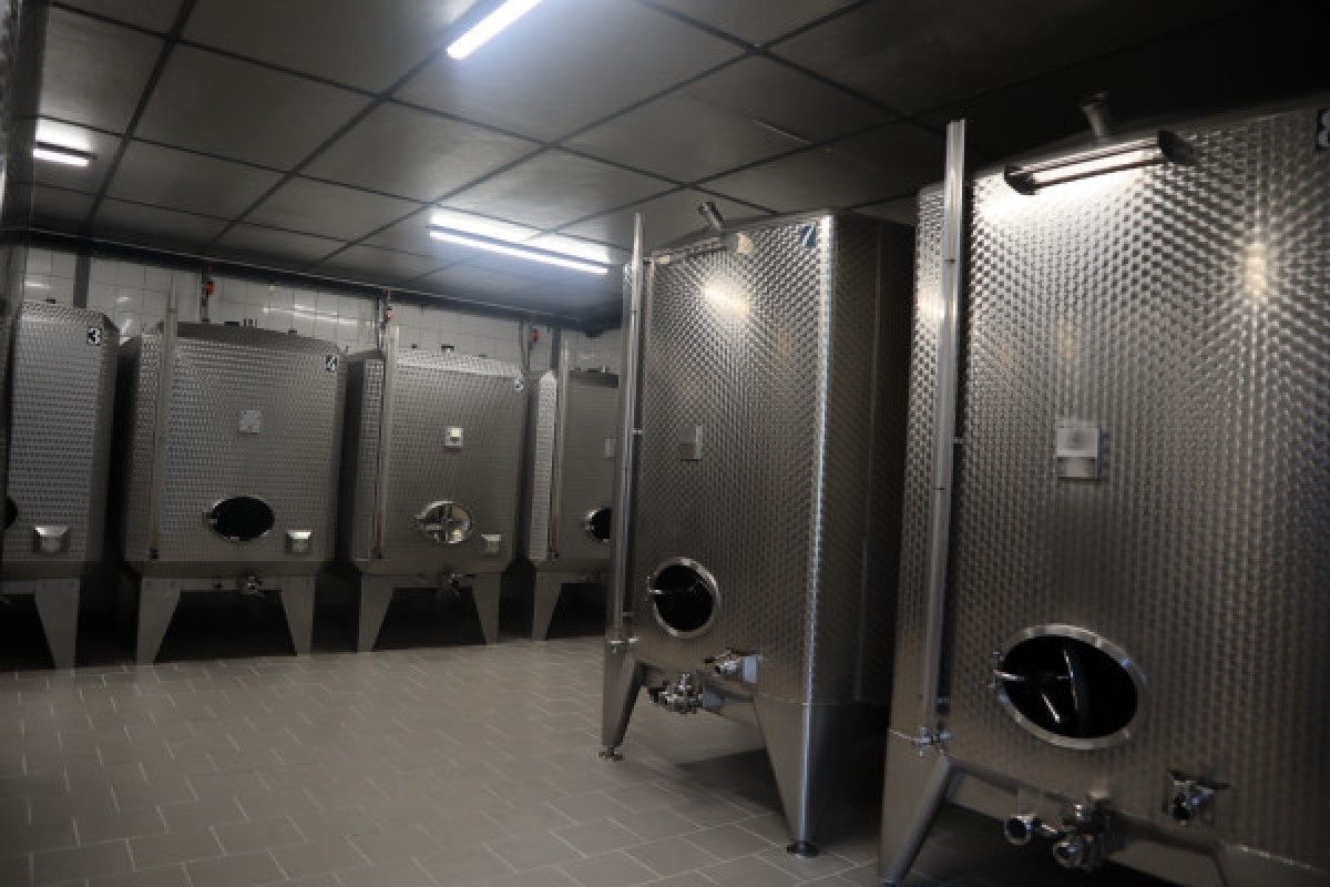 Visite de cave et dégustation de champagne - Exploregion