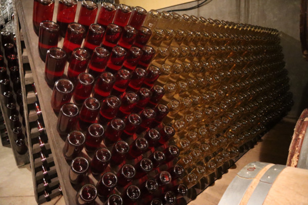 Visite de cave et dégustation de champagne - Exploregion