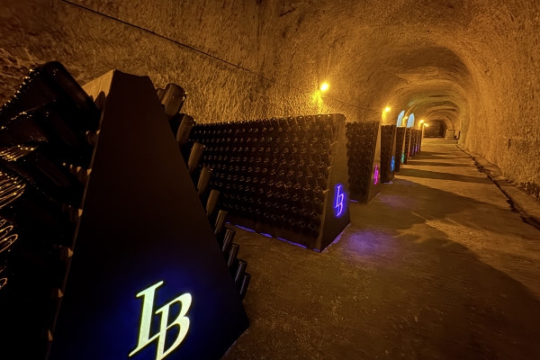 Visite de cave Gallo-romaine (UNESCO) + 3 dégustations - Exploregion