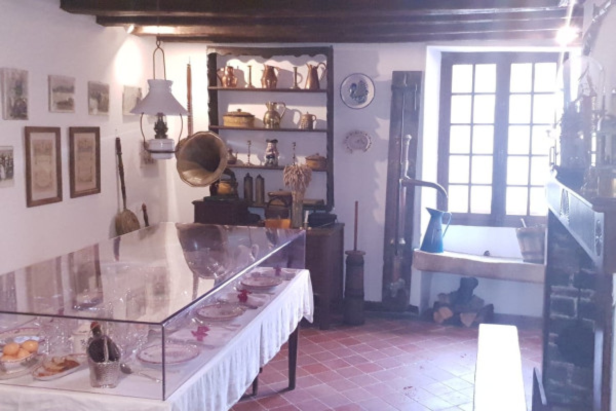 Visite de groupe - Visite des 3 musées + dégustation - Exploregion