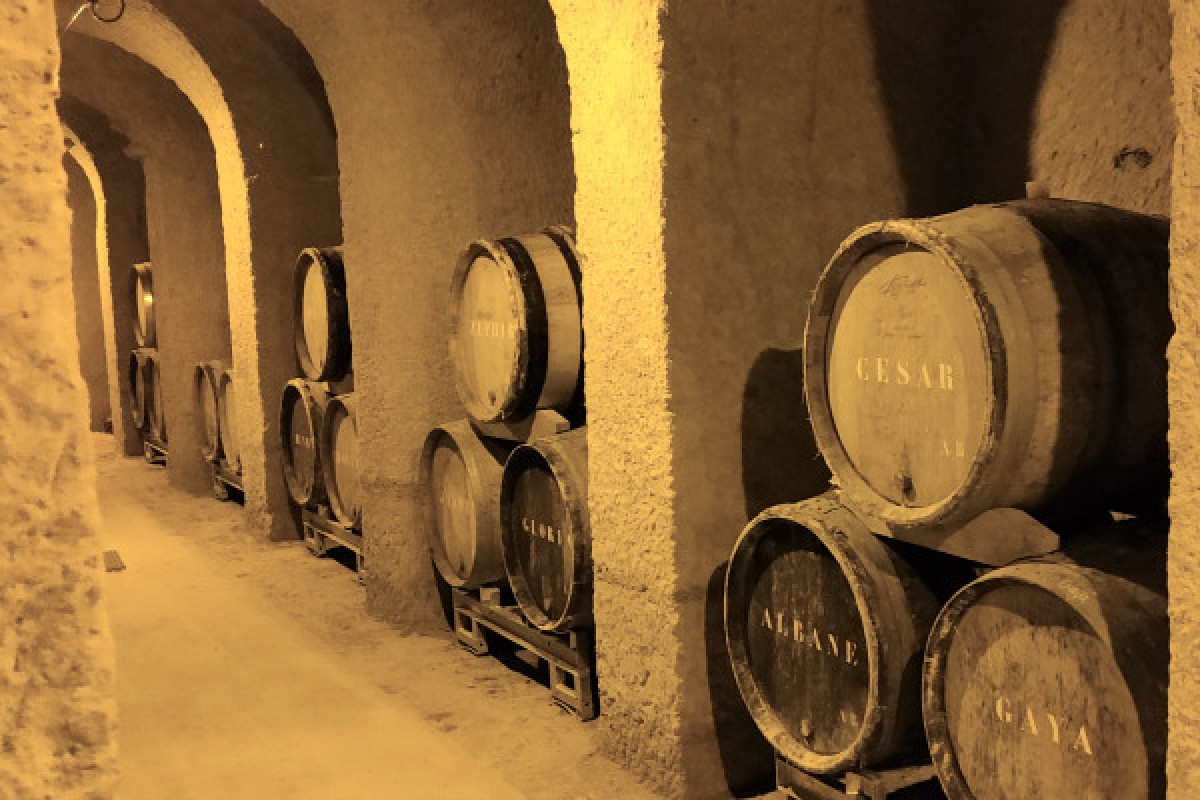 Visite de La Cave aux Coquillages avec dégustation du Champagne Legrand-Latour - Exploregion