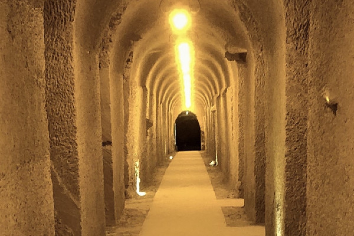 Visite de La Cave aux Coquillages avec dégustation du Champagne Legrand-Latour - Exploregion