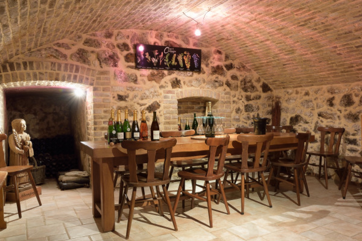 Visite Découverte - Champagne Alfred TRITANT - Exploregion