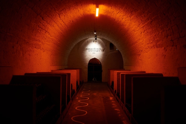 Visite & Dégustation Essentielle - Exploregion