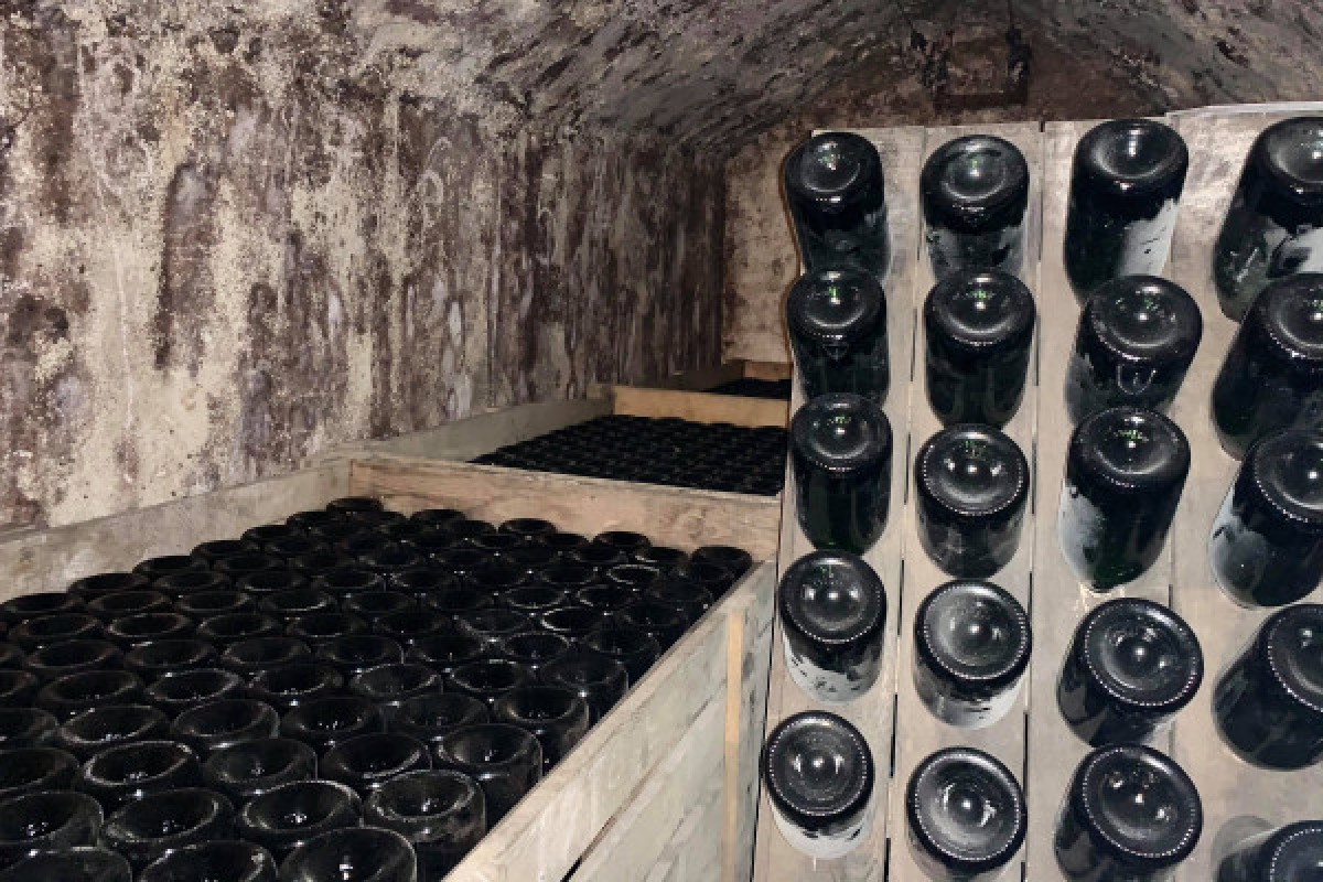 Visite Gourmande - Champagne Alfred TRITANT - Exploregion