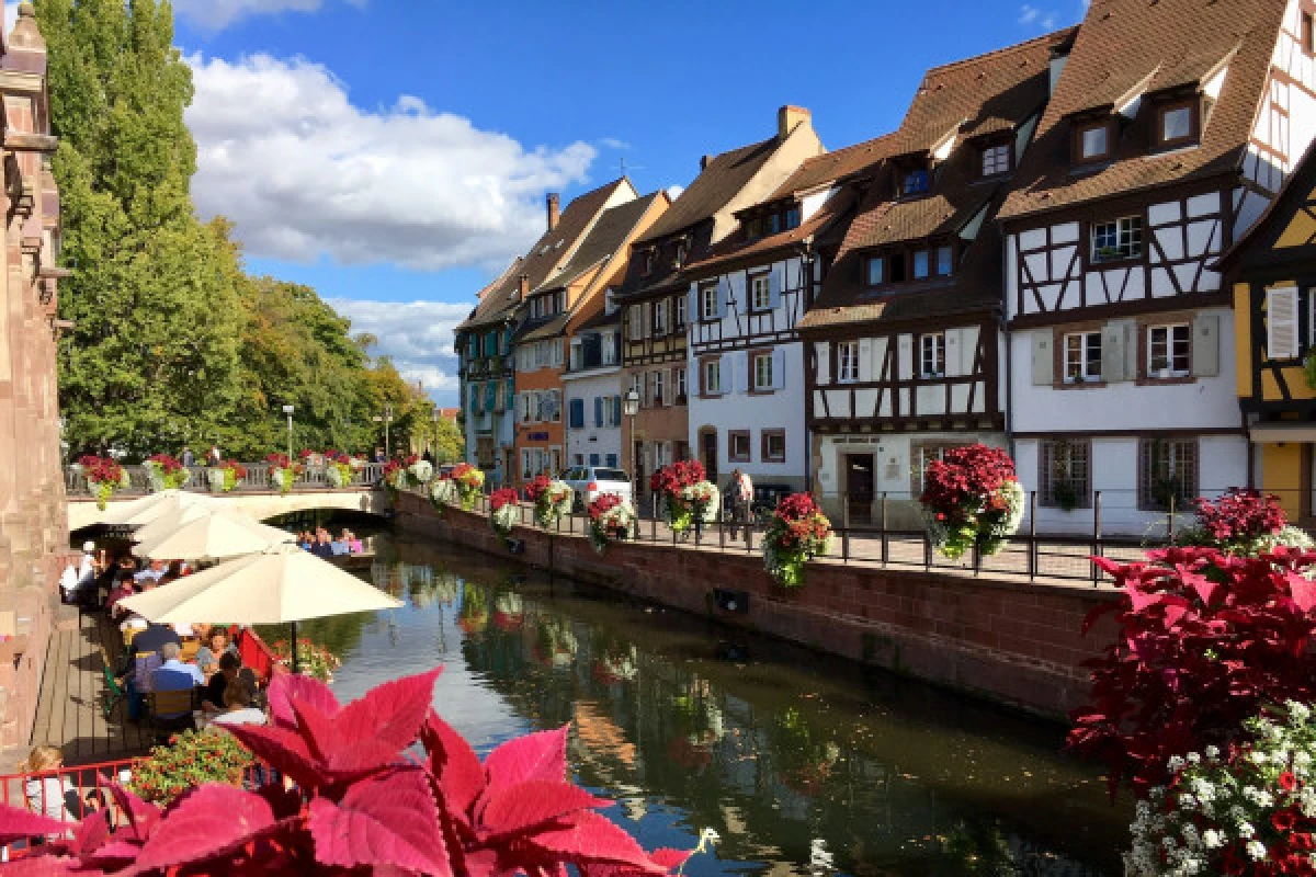 Visite guidée gourmande - Colmar - Exploregion