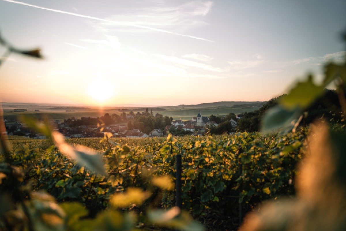 Visite Iconic - Maison Canard-Duchêne - Exploregion