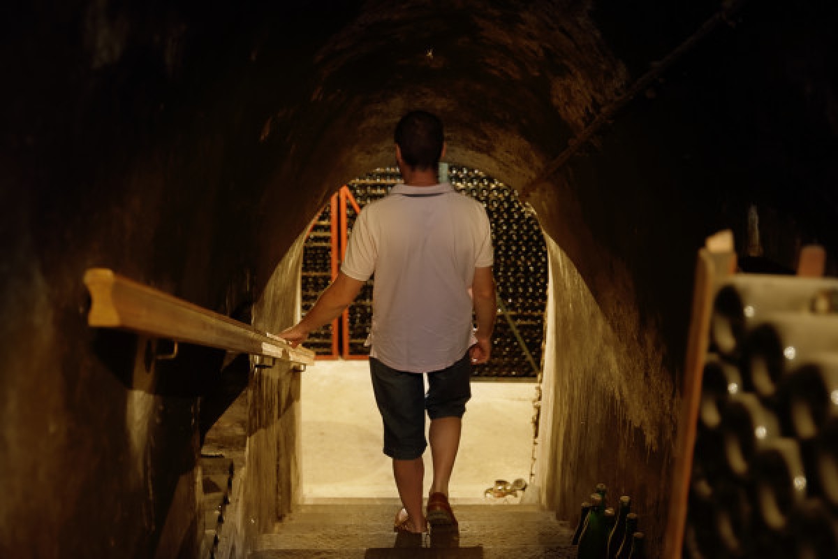 Visite Immersion - Champagne Alfred TRITANT - Exploregion