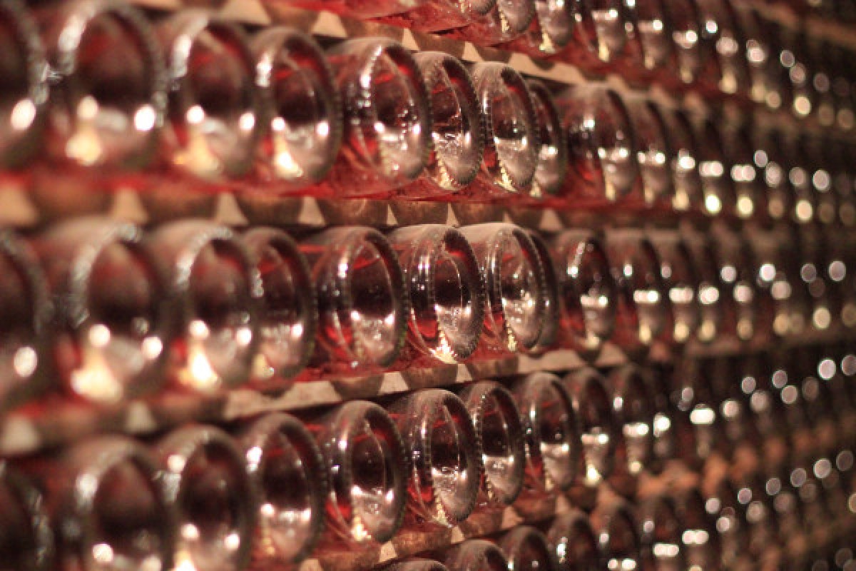 Visite Immersion - Champagne Alfred TRITANT - Exploregion