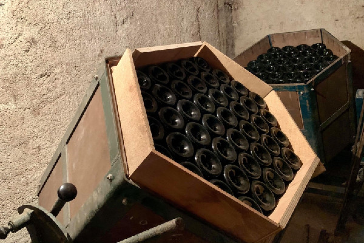 Visite Immersion - Champagne Alfred TRITANT - Exploregion