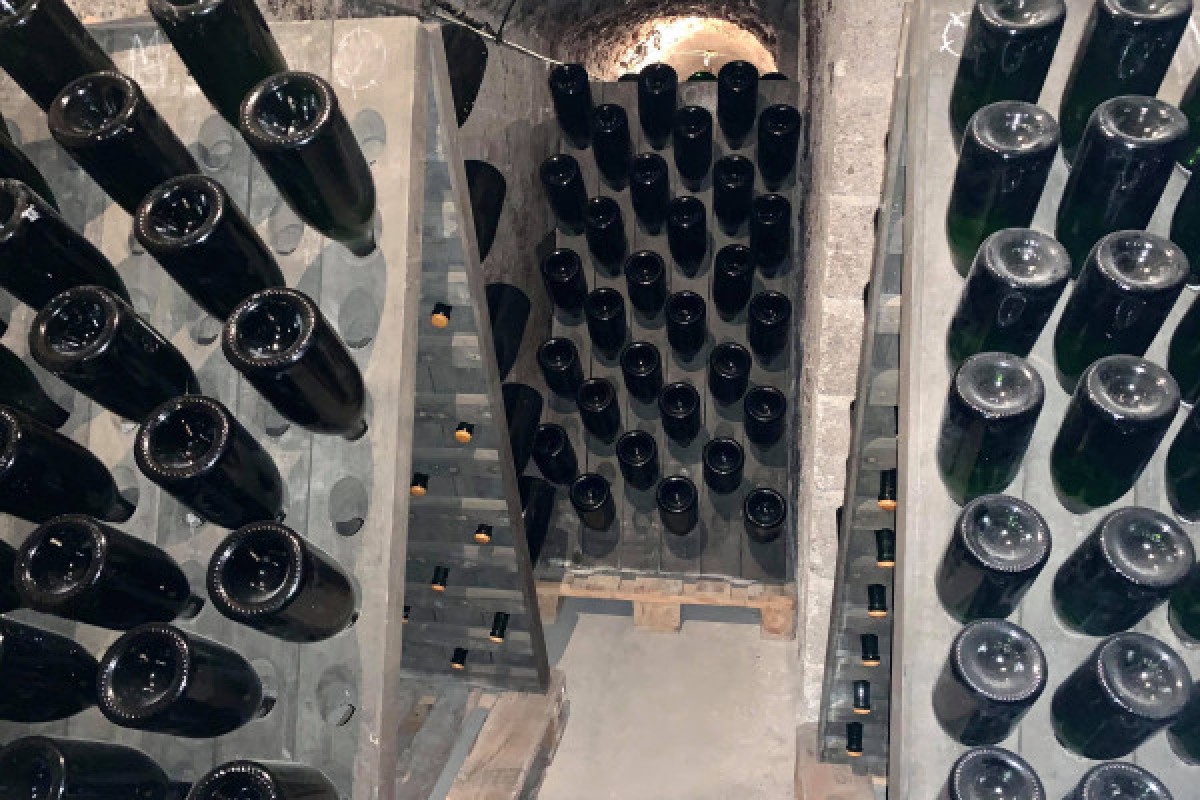 Visite Immersion - Champagne Alfred TRITANT - Exploregion