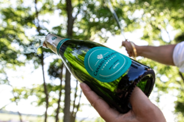 Visite & Initiation au Sabrage - Exploregion