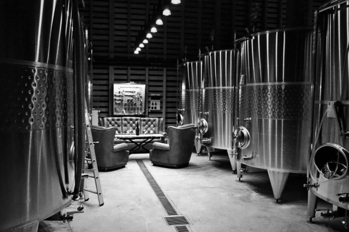 Journée Au coeur du vignoble alsacien avec dégustations - Exploregion